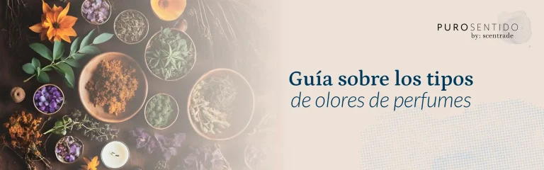 Tipos de olores en perfumes y cómo elegir la fragancia ideal | Puro Sentido
